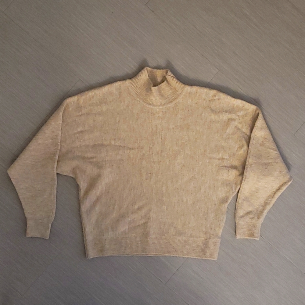 H&M Oat Turtleneck
